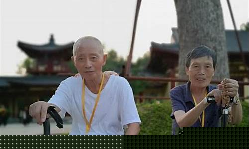 问道手游私服：踏上舍利子之路，私服玩家的冒险之旅！